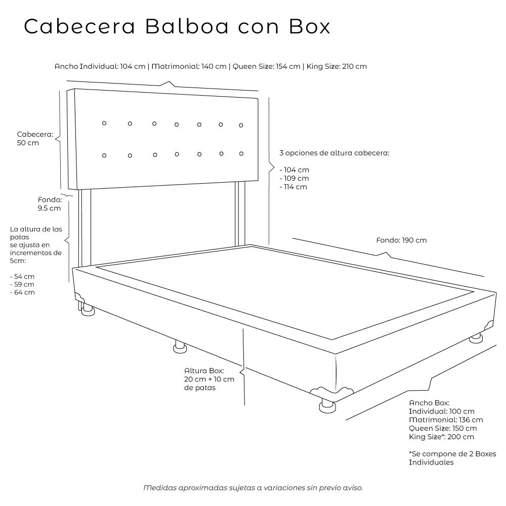 Cabecera Vinipiel con Box