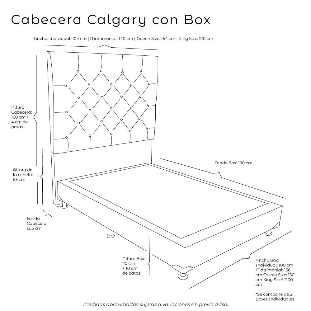 Cabecera Vinipiel con Box