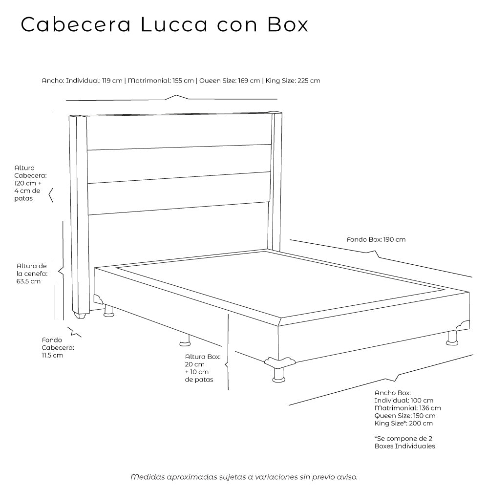 Cabecera Vinipiel con Box